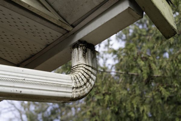 Cost of Roof Drain Replacement in Pottstown
